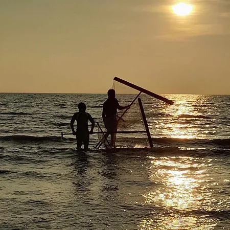 La - Maison Typique Et Jardin A Berck-plage A 300 M De La *